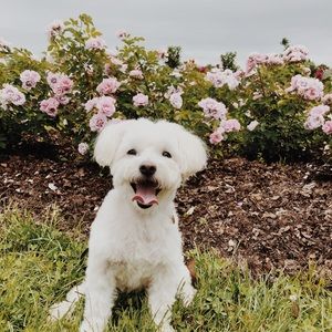 Meet your Posher, Natalie